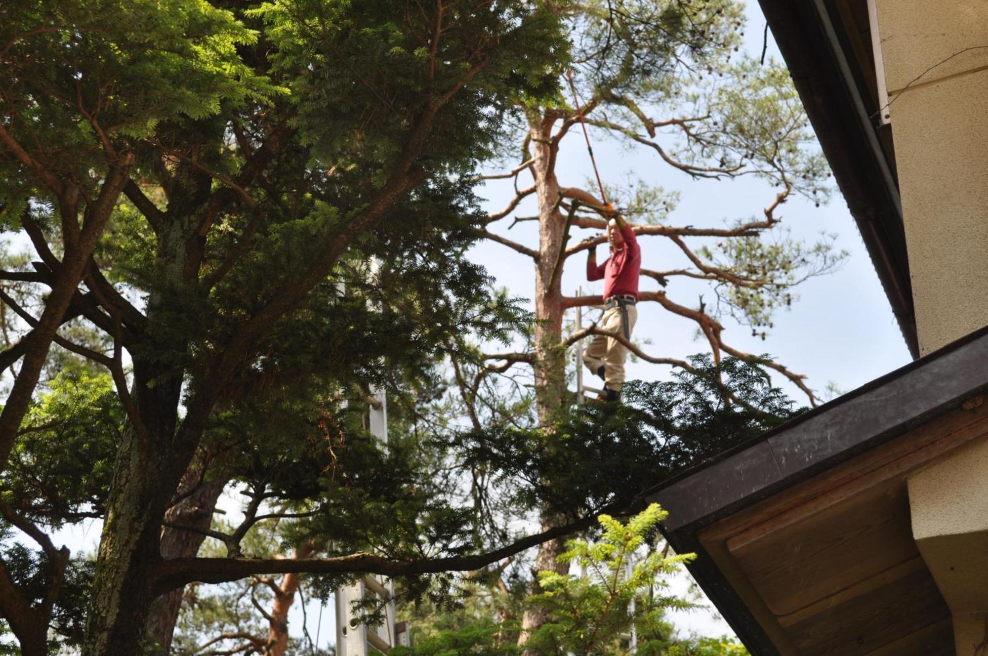 Yudanaka Yumoto Hotel Yamanouchi  Ngoại thất bức ảnh