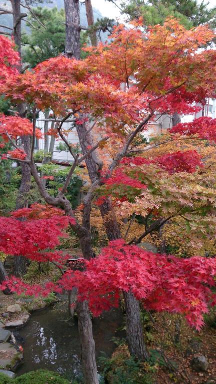 Yudanaka Yumoto Hotel Yamanouchi  Ngoại thất bức ảnh